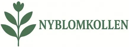 Nyblom logo